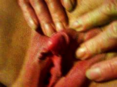 amateur, matures, close up, close-ups, close