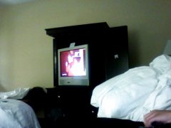 amateur, hotel, latina, latin, connection
