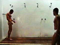 anal, gay, shower, fucking, sucking