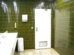 blowjob, brunette, mature, stockings, european, outdoors, big-dick, bathroom, sucking, nylons