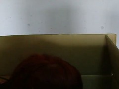 anal, asian, ass, black, brunette, butt, ebony, hairy, indian, lesbian