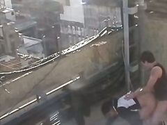 couple, hardcore, hidden, oral, spy, voyeur, doggy, outdoors