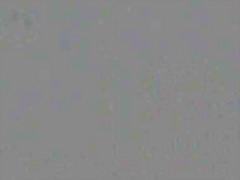 cartoon, hentai, lesbian, masturbation, pussy, teen, bigtits, girls, fingering, blue