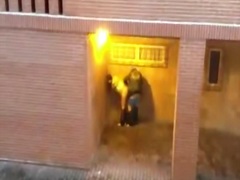 couple, naughty, spy, fucking, outdoors